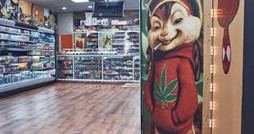 Cannabis