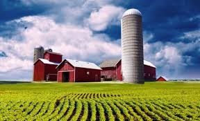Farms/Agriculture